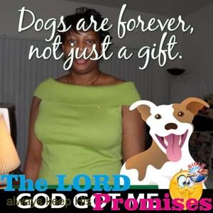 Meet your Posher, Joyce